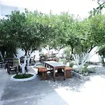 Platon Faliraki