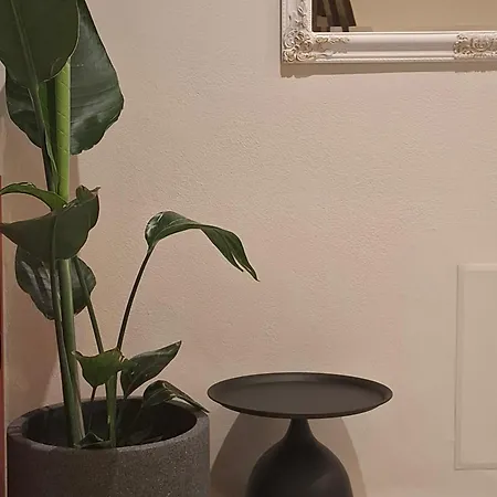 柏拉顿酒店 公寓式酒店 法里拉基