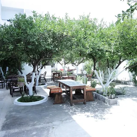 柏拉顿酒店 法里拉基