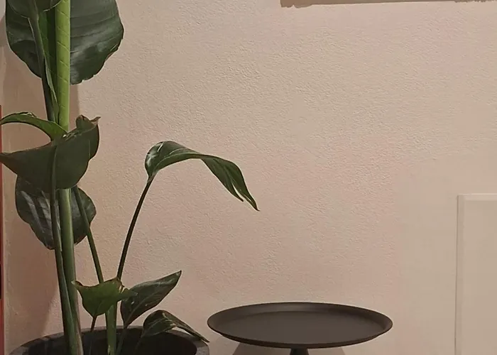 Platon Aparthotel Faliraki